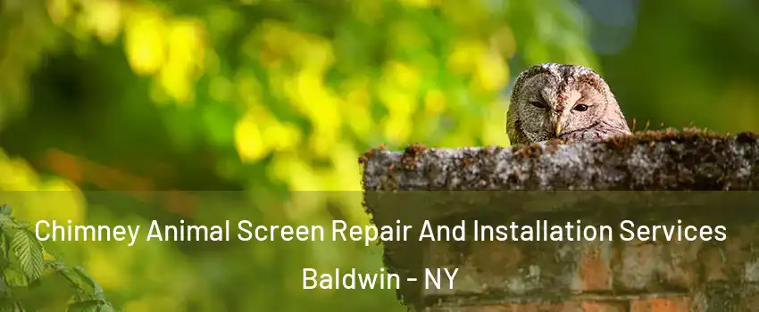 Chimney Animal Screen Repair And Installation Services Baldwin - NY