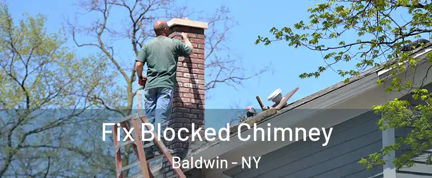  Fix Blocked Chimney Baldwin - NY
