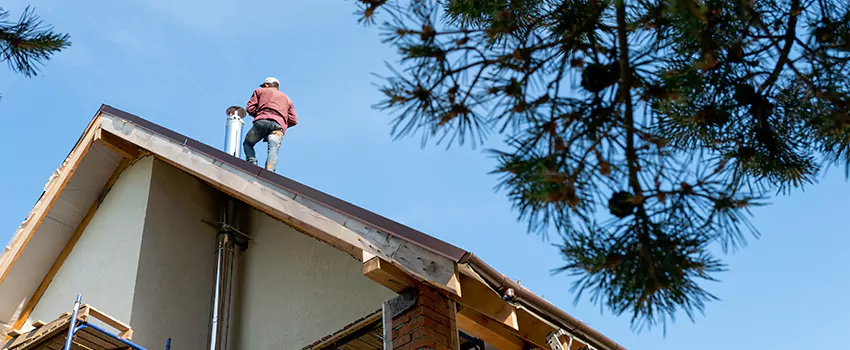 Birds Removal Contractors from Chimney in Baldwin, NY